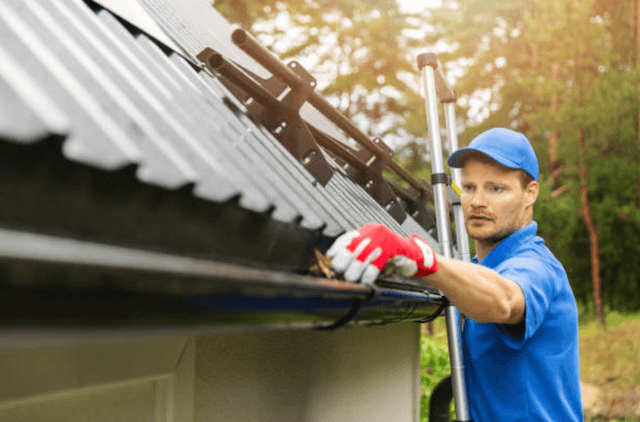 naperville gutter service